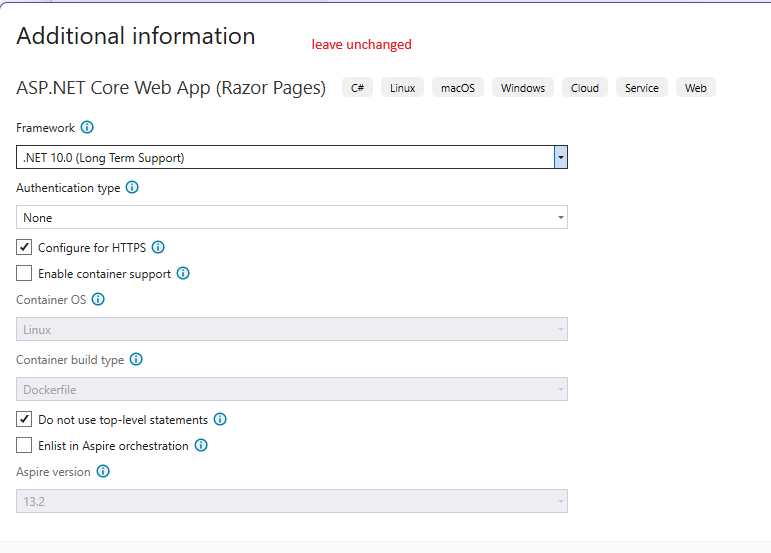 הגדרות Additional information עבור Razor Pages עם NET 10 ואפשרות Do not use top-level statements מסומנת